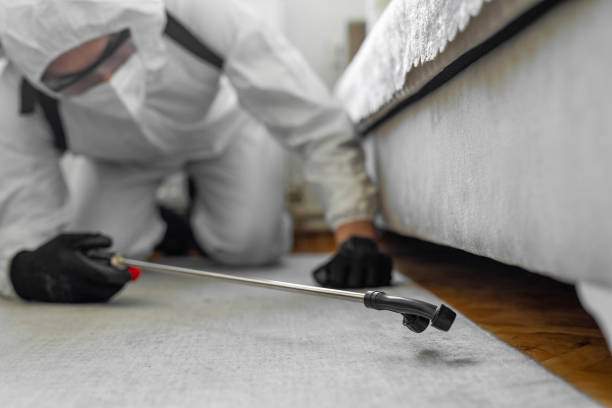 Professional Termite Control technician working in Montegut, LA