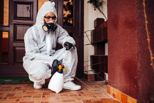 Reliable Termite Control contractor in Montegut, LA by Nex Pest Control